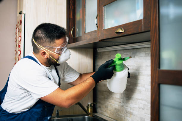 Best Bed Bug Extermination  in Glencoe, MN