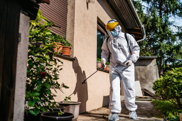 Best Affordable Pest Control Services  in Glencoe, MN
