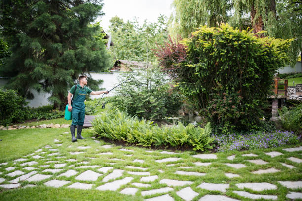 Flea Control Services in Glencoe, MN