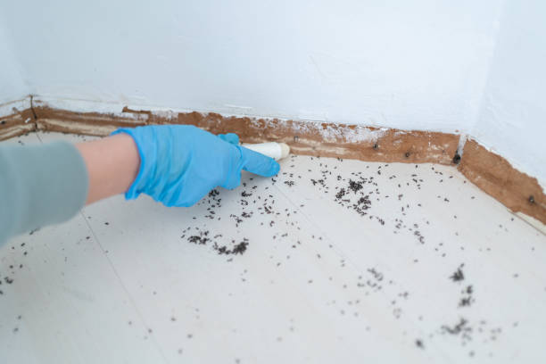 Wildlife Control Services in Glencoe, MN